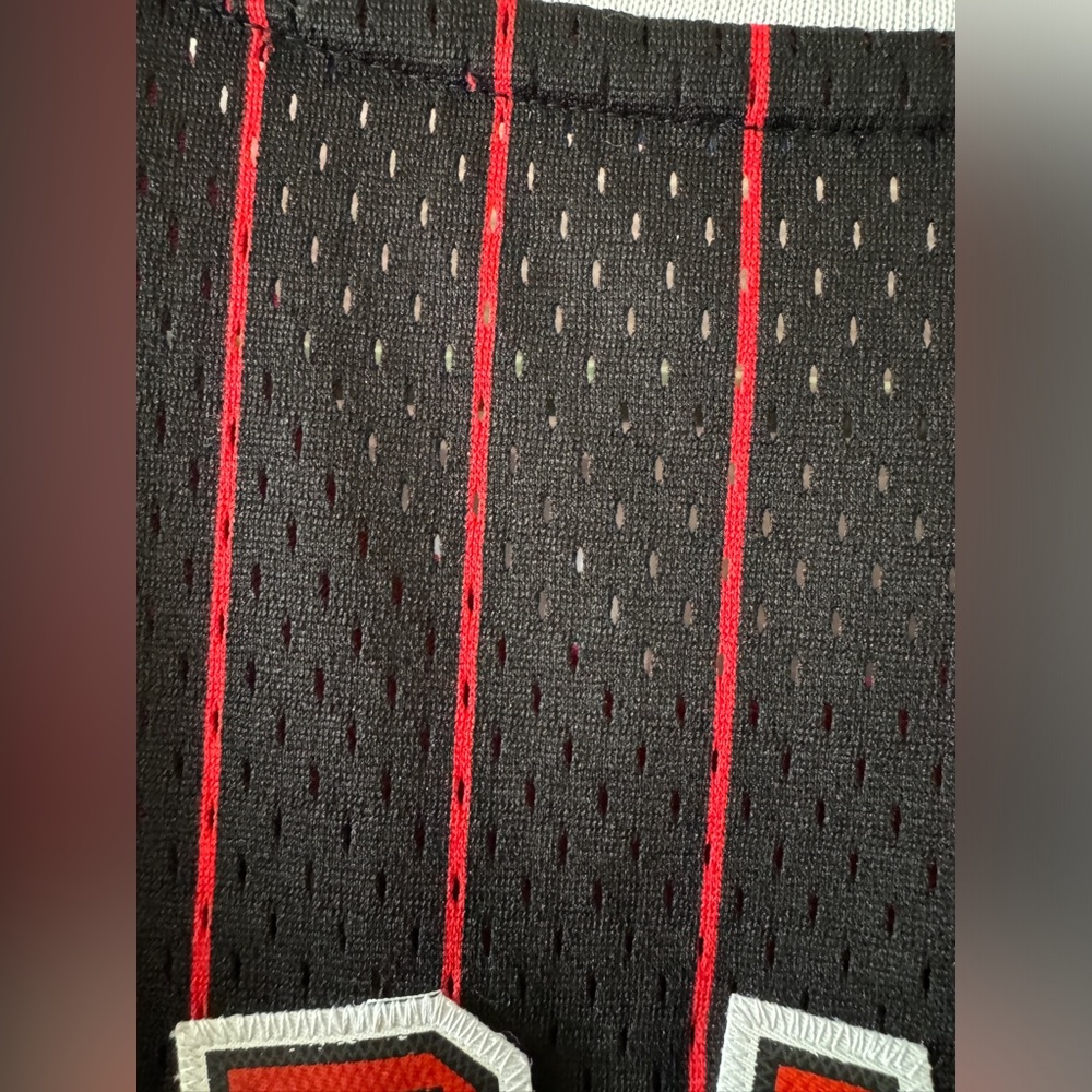 Dennis Rodman Throwback Jersey - image 4
